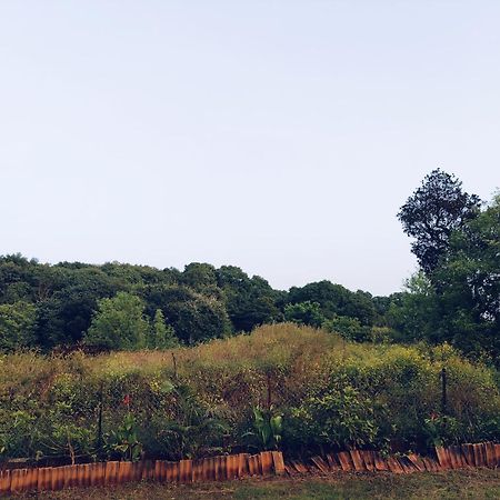 Laforesta By Mahabaleshwar Stay Экстерьер фото