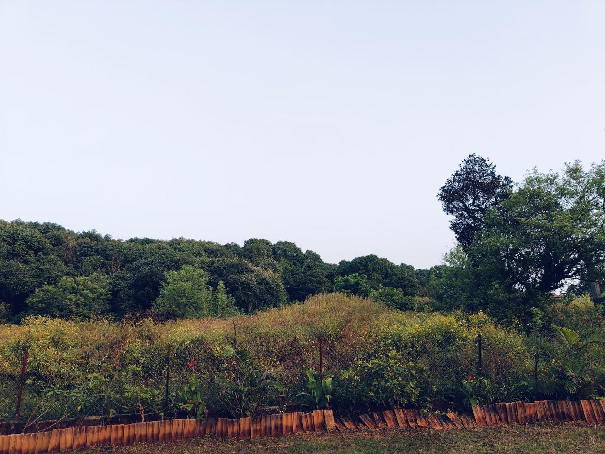 Laforesta By Mahabaleshwar Stay Экстерьер фото